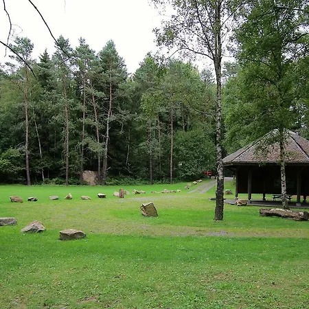 La Betulaie Libin